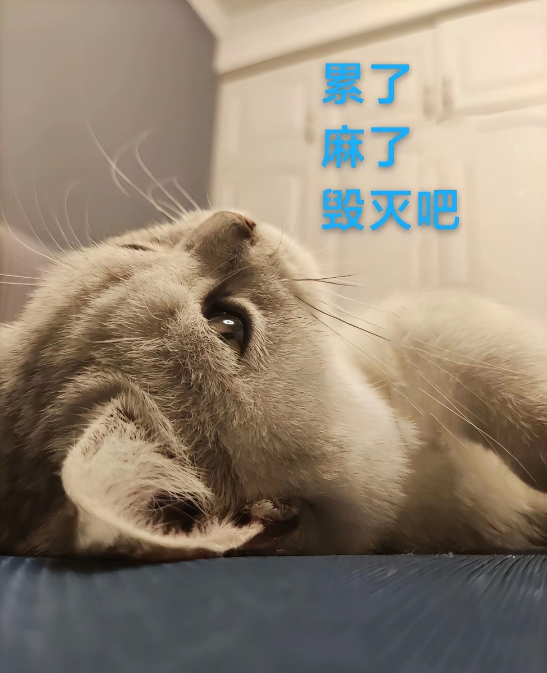 去哪了去哪了